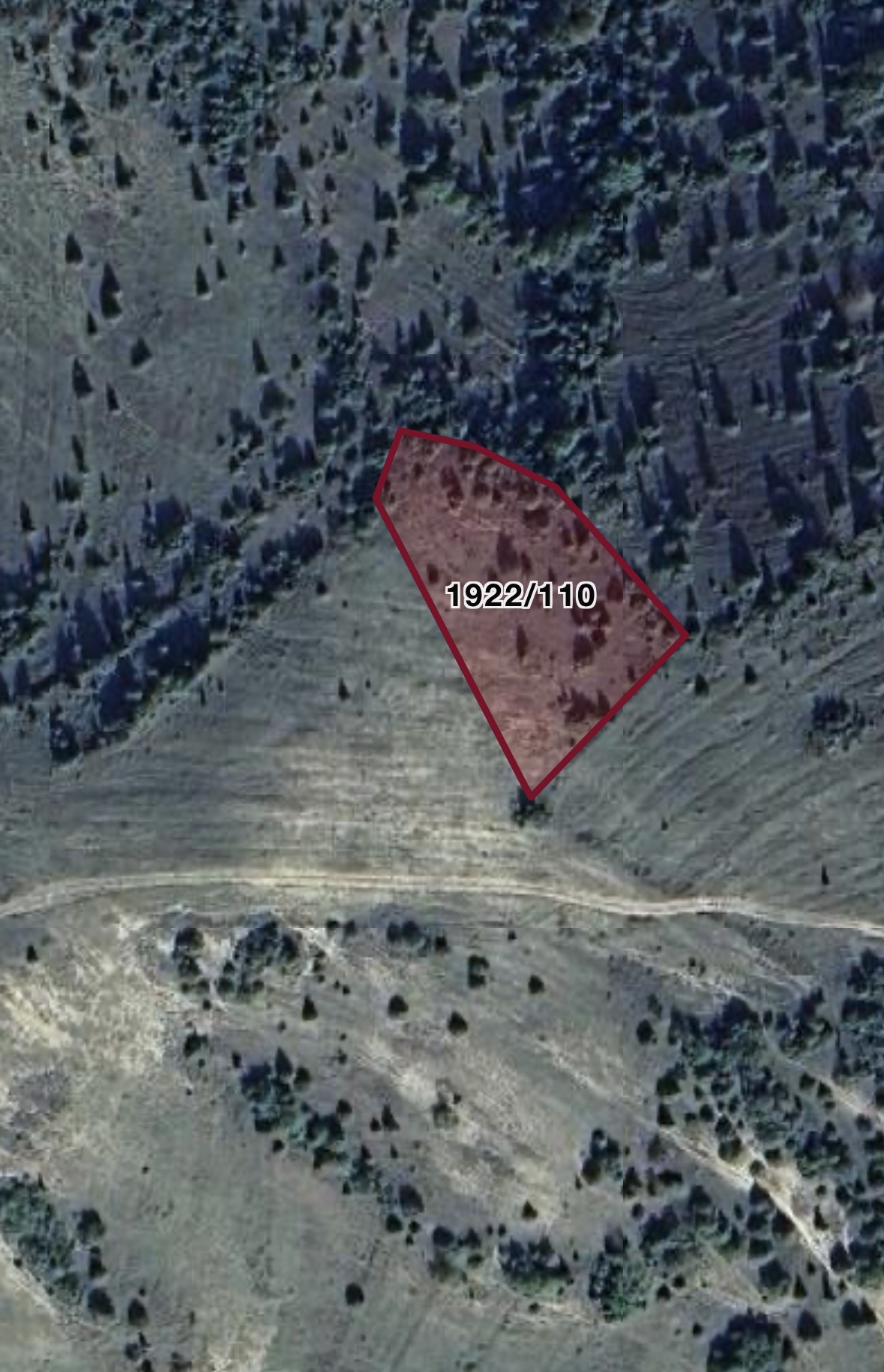 Şile Çelebi’de Satılık Kupon Arsa